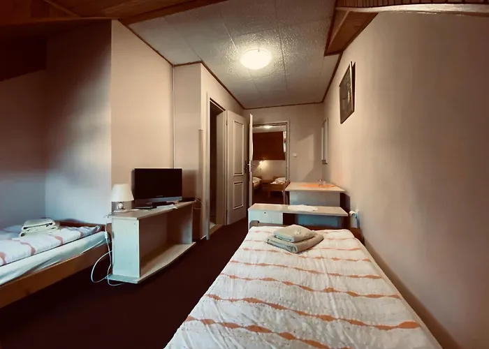 Πανσιόν Dalmo 3*